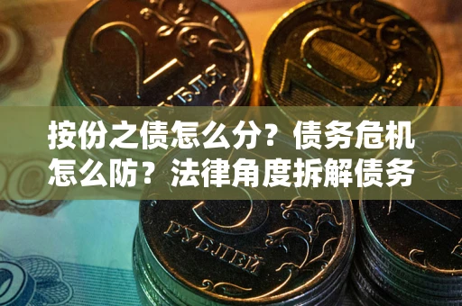 武汉按份之债怎么分？债务危机怎么防？法律角度拆解债务分配与风险自保指南