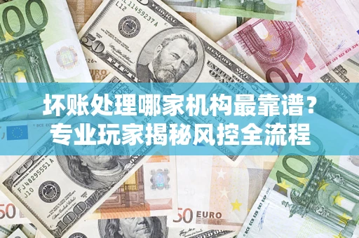 武汉坏账处理哪家机构最靠谱？专业玩家揭秘风控全流程