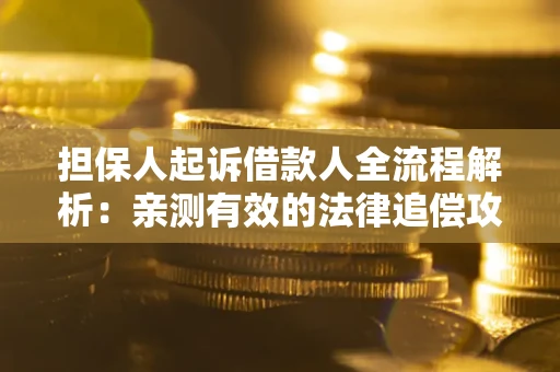 武汉担保人起诉借款人全流程解析：亲测有效的法律追偿攻略