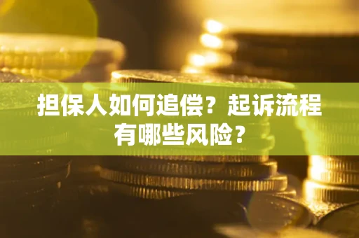 武汉担保人如何追偿？起诉流程有哪些风险？