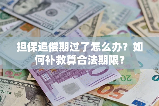 武汉担保追偿期过了怎么办？如何补救算合法期限？
