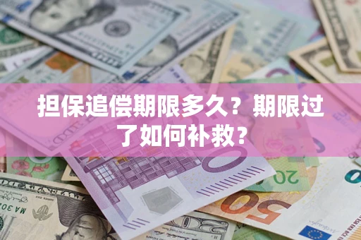 武汉担保追偿期限多久？期限过了如何补救？