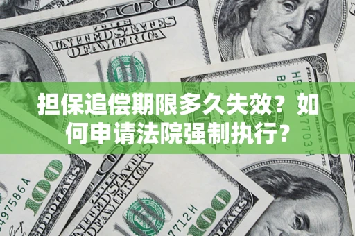 武汉担保追偿期限多久失效？如何申请法院强制执行？