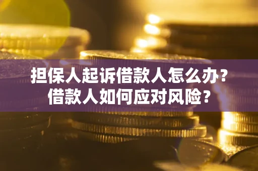 武汉担保人起诉借款人怎么办？借款人如何应对风险？