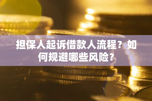 武汉担保人起诉借款人流程？如何规避哪些风险？
