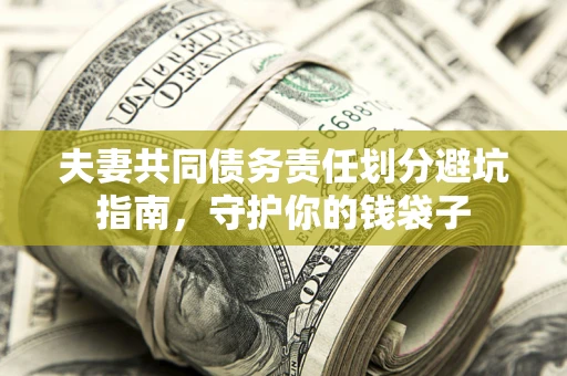 武汉夫妻共同债务责任划分避坑指南，守护你的钱袋子