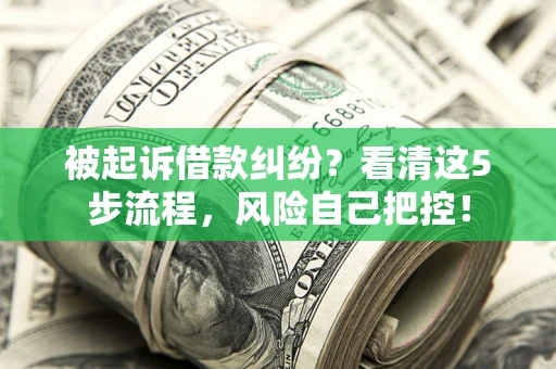 武汉被起诉借款纠纷？看清这5步流程，风险自己把控！