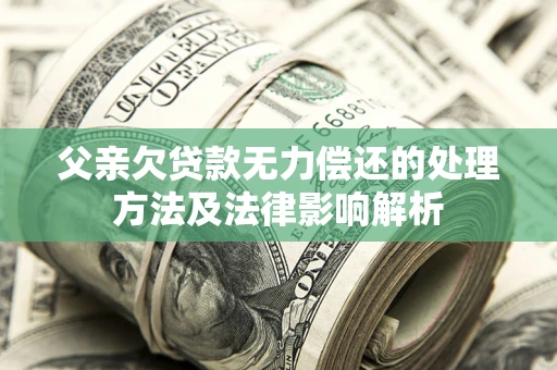 武汉父亲欠贷款无力偿还的处理方法及法律影响解析