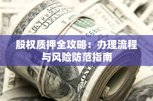 武汉股权质押全攻略：办理流程与风险防范指南