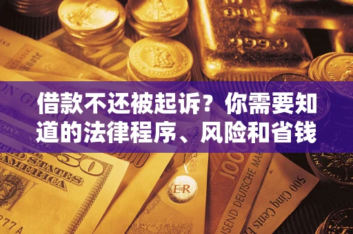 武汉借款不还被起诉？你需要知道的法律程序、风险和省钱技巧