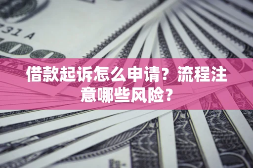 武汉借款起诉怎么申请？流程注意哪些风险？