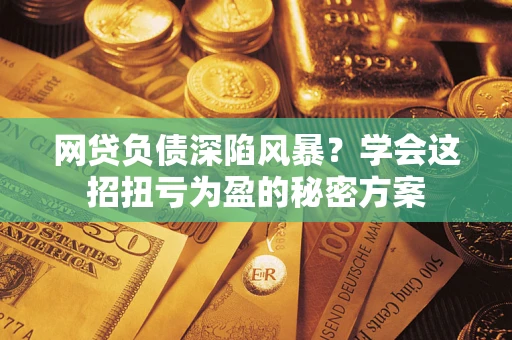 武汉网贷负债深陷风暴？学会这招扭亏为盈的秘密方案